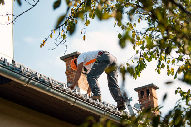 Best Roof Maintenance Services  in Bellevue, IA