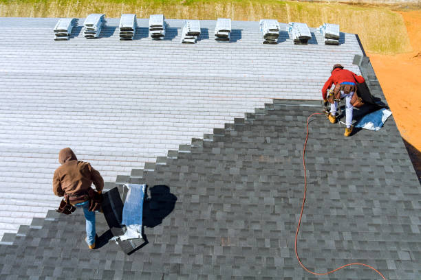 Best Roof Maintenance Services  in Bellevue, IA
