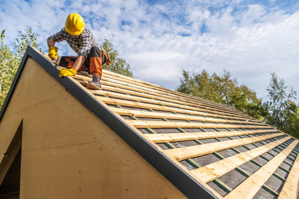 Best Roof Repair Services  in Bellevue, IA