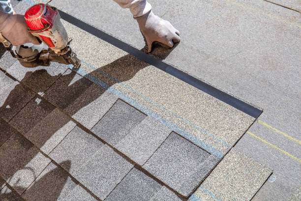 Best Flat Roof Repair Services  in Bellevue, IA